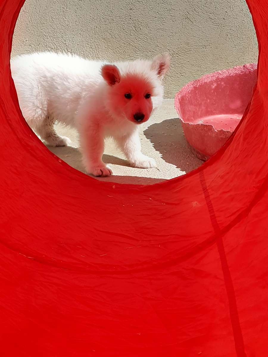 aujourd'hui on sort le tunnel !