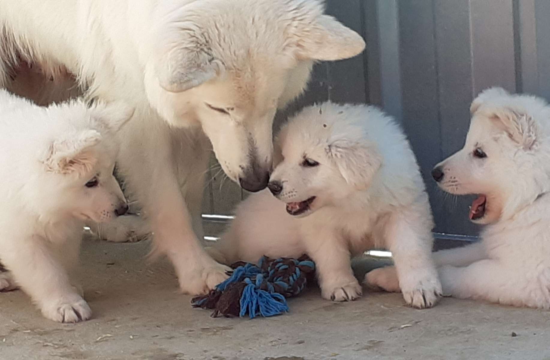 maman prête le moi s'il te plait 