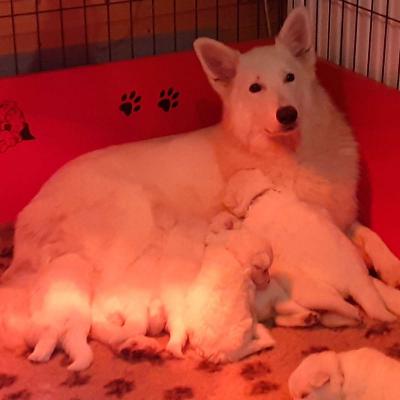 une maman au top