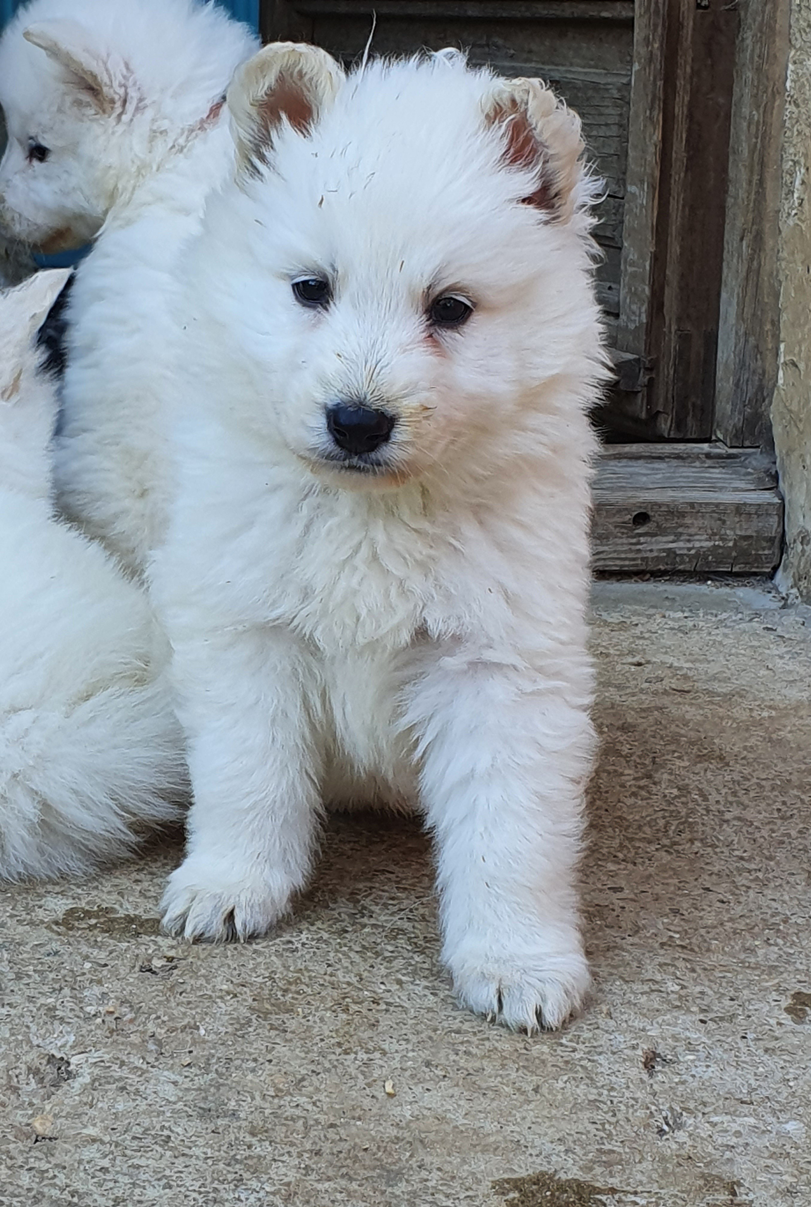 tout mignon