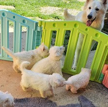 maman !!!!