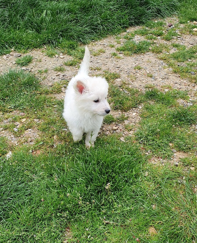 p'tite bouille