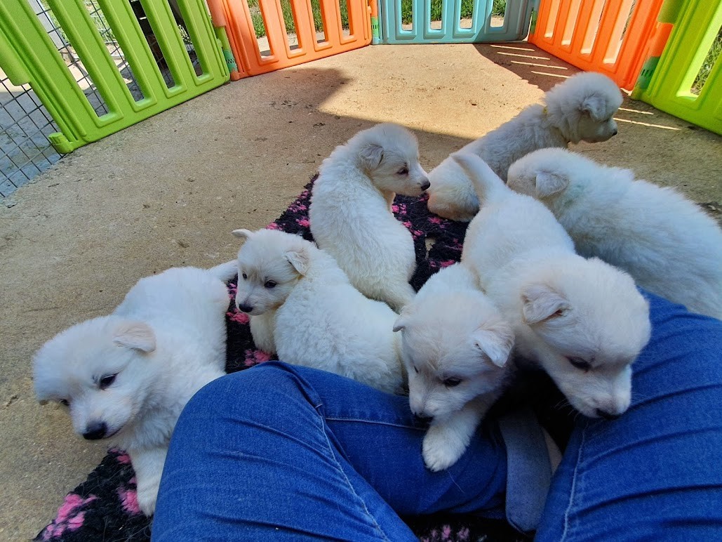 pas du tout pot de colle ses bébés 