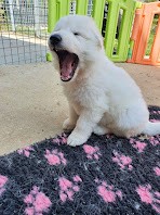 tu fatigue avec tes photos