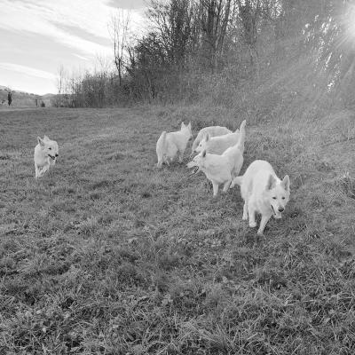 les filles en balade