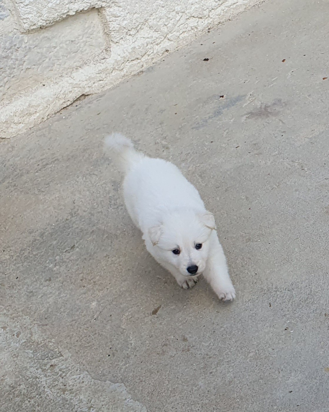 coucou toi