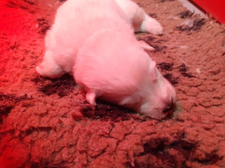 trop dur la vie de bébé