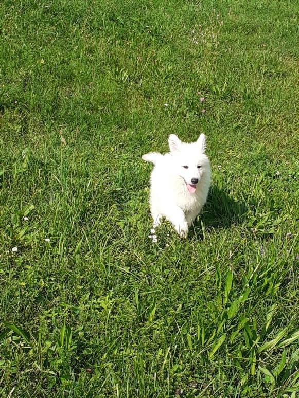 petite bouille