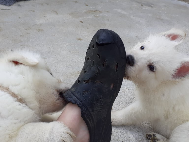heu quand même ya déja assez de trous les bébés !