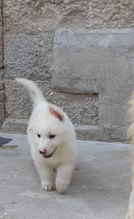 coucou toi