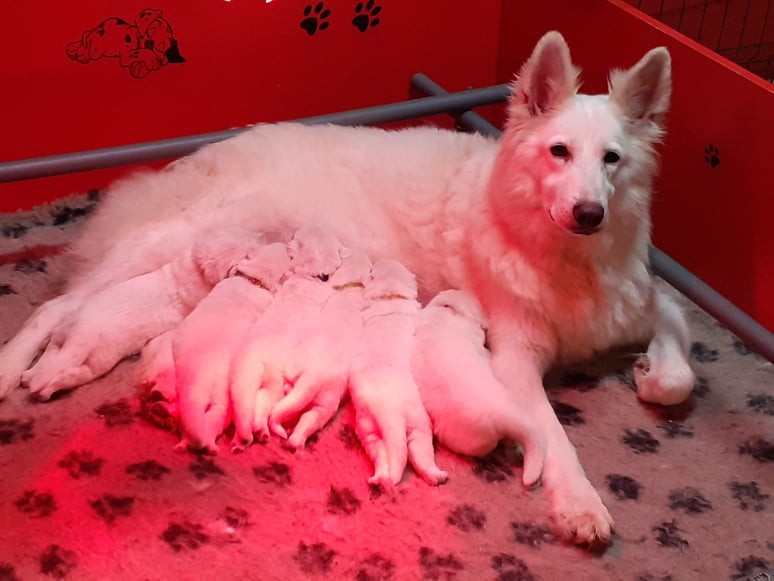 une super maman