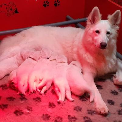 une super maman