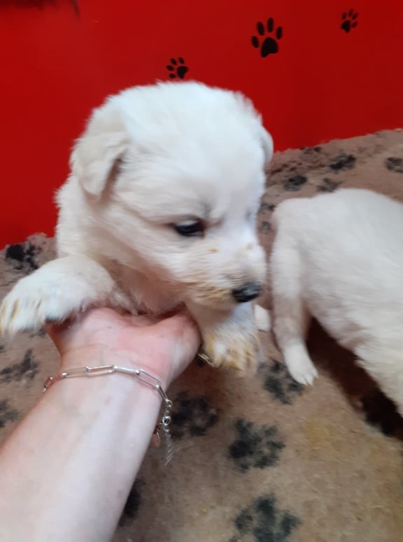 non non j'ai manger proprement !!