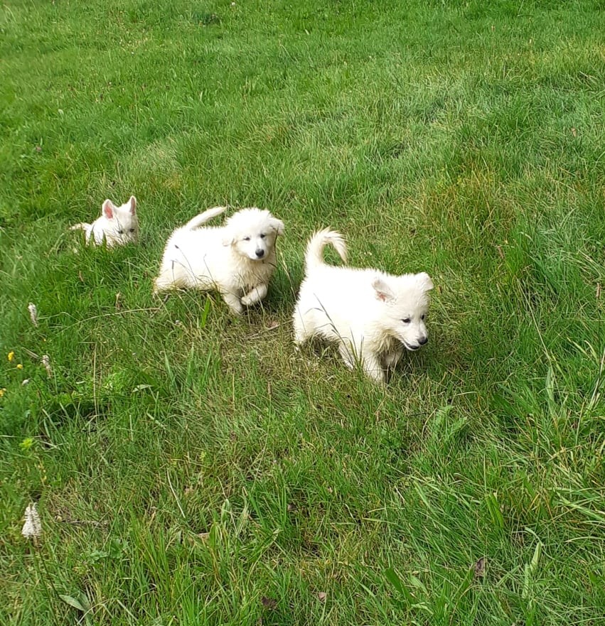elle est un petit peu haute l'herbe !!