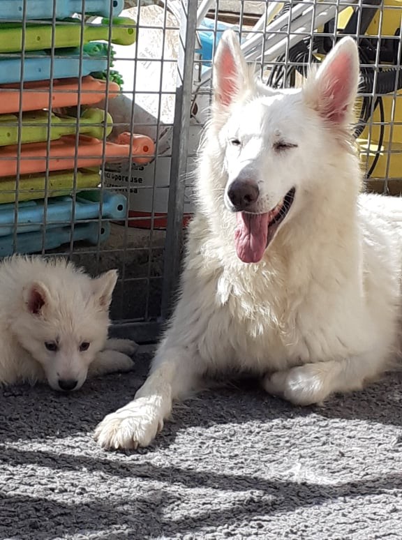 maman qui ce fait dorer au soleil 