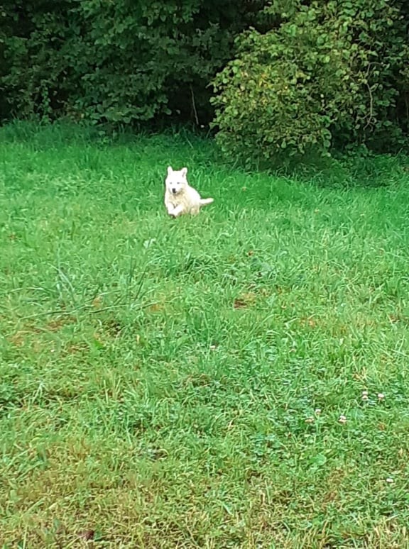 attendez moi 