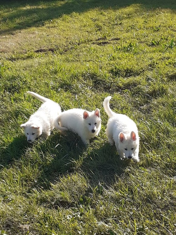 quel beau soleil 