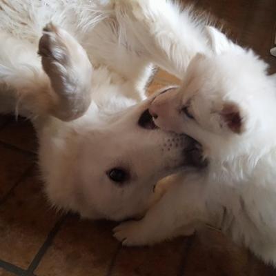 on adore jouer avec maman