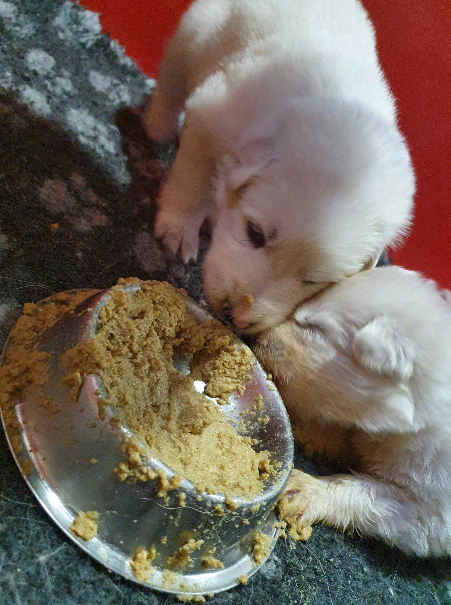 à taaaable !!