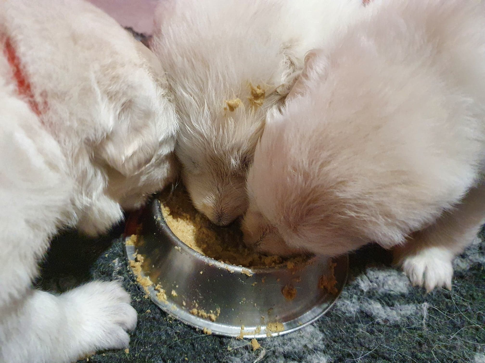 miam !