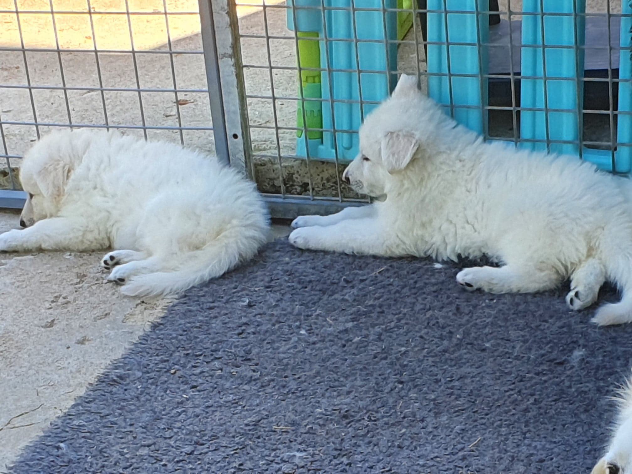 il fait trop chaud 