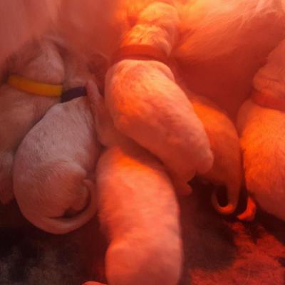 premières heures pour les bébés 