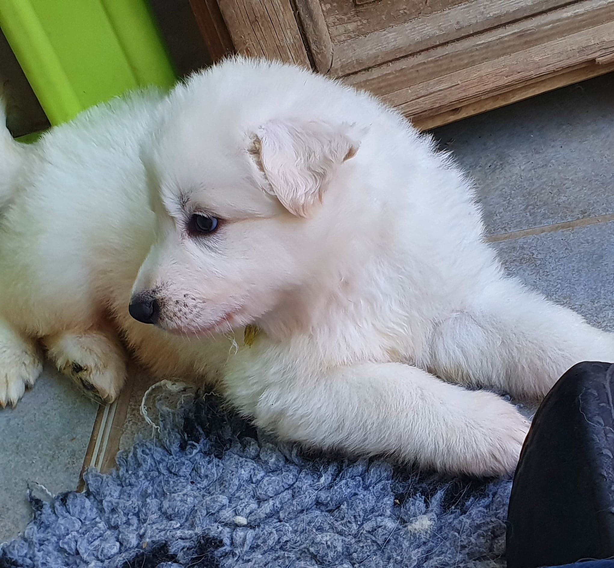 qu'est ce qui ce passe laba ?