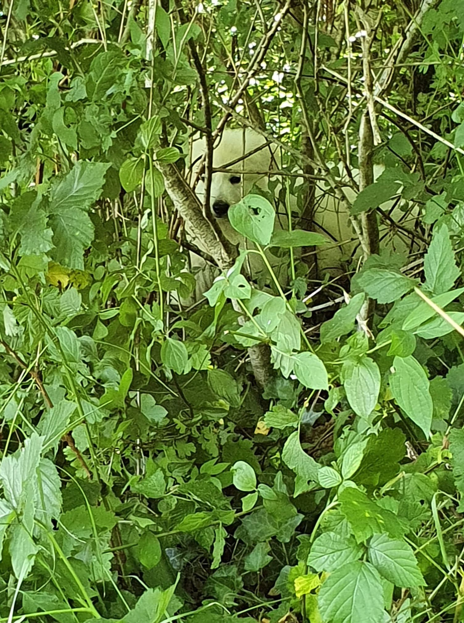 cache cache au frais 