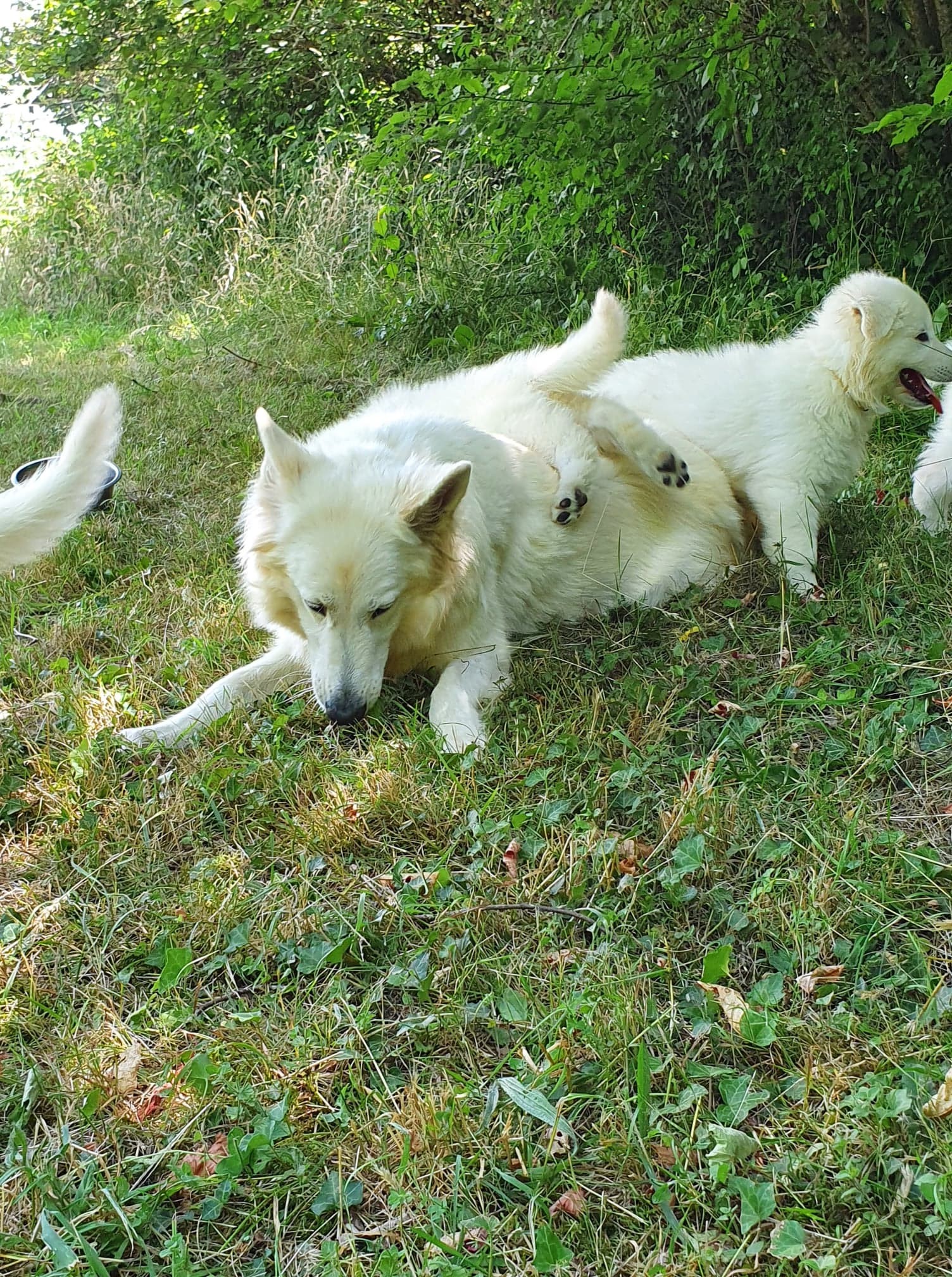 pouf glissé de sur maman