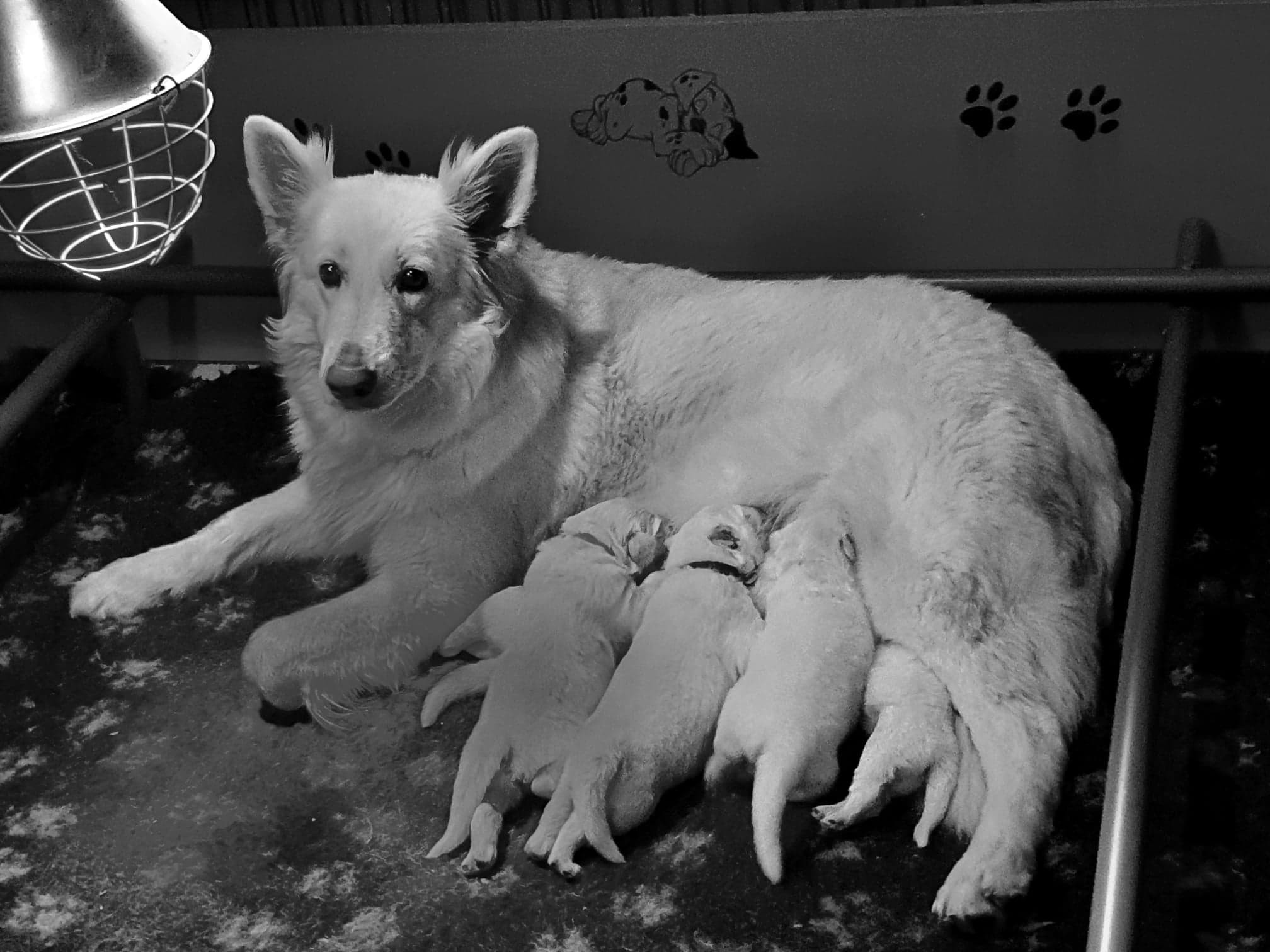 une maman au top 