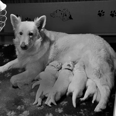 une maman au top 