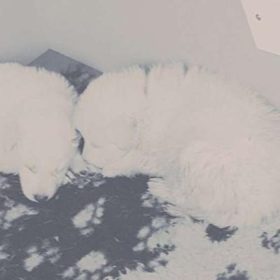 1 mois 