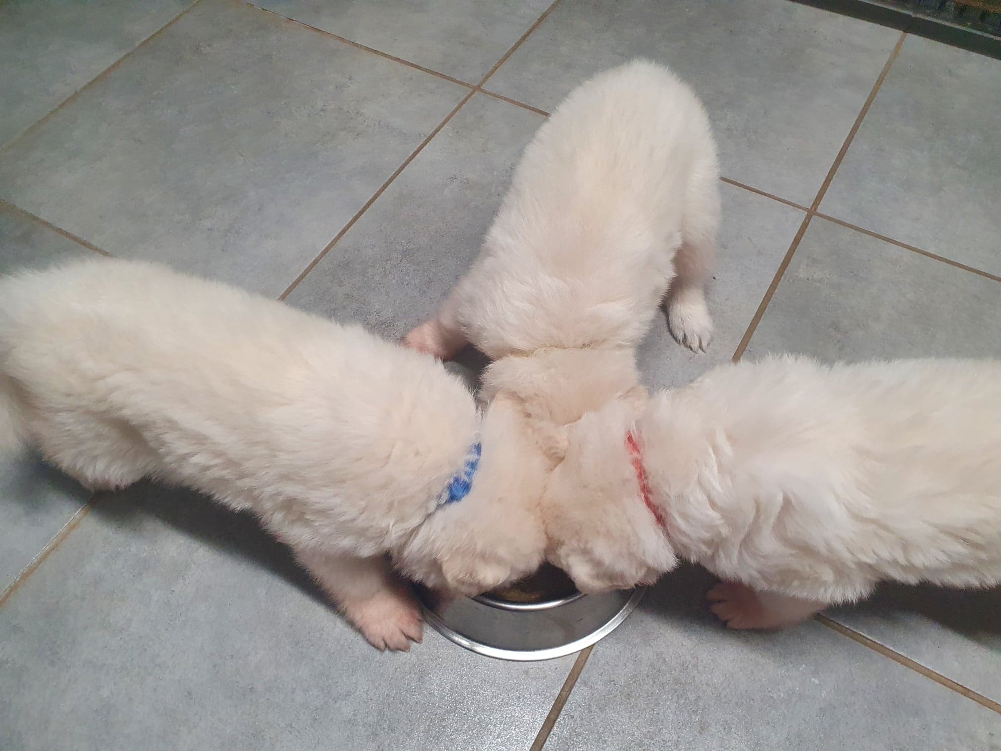 on a bon appétit 