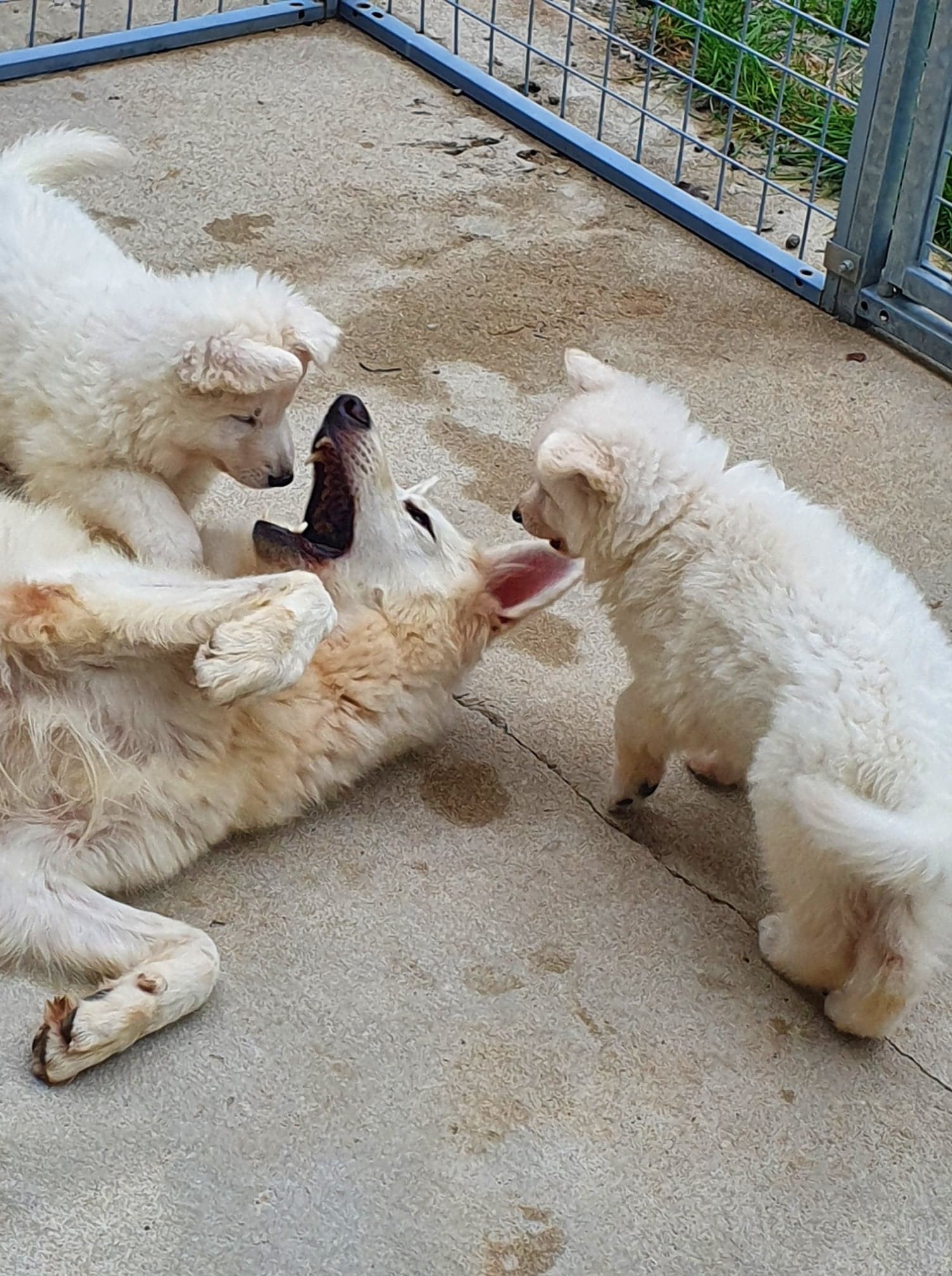 attaque de maman (qui est super cool avec les bébés !)
