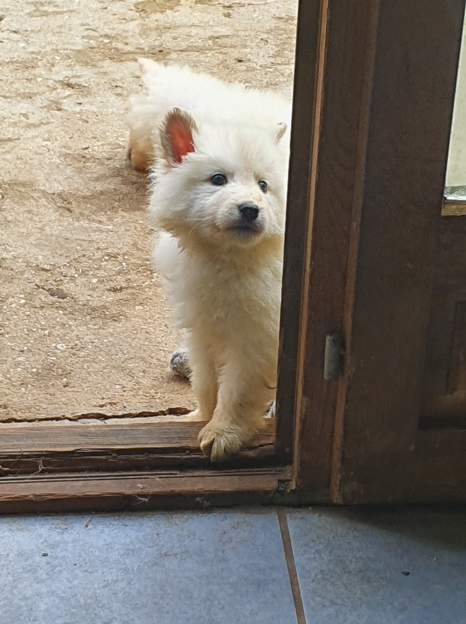 caché 
