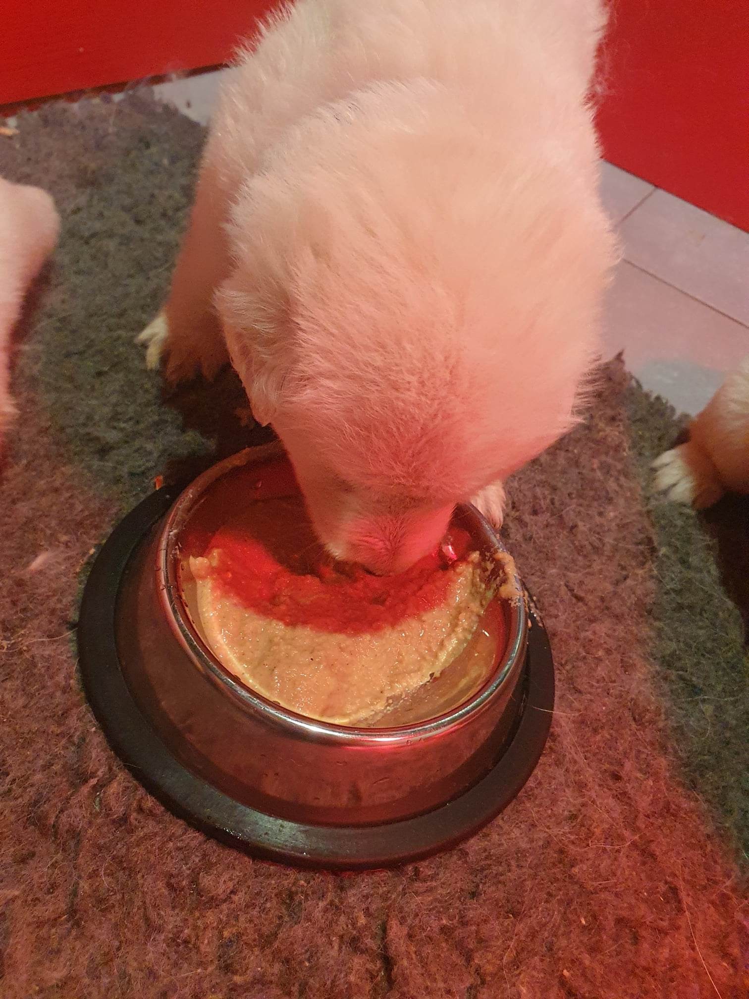 première bouille 