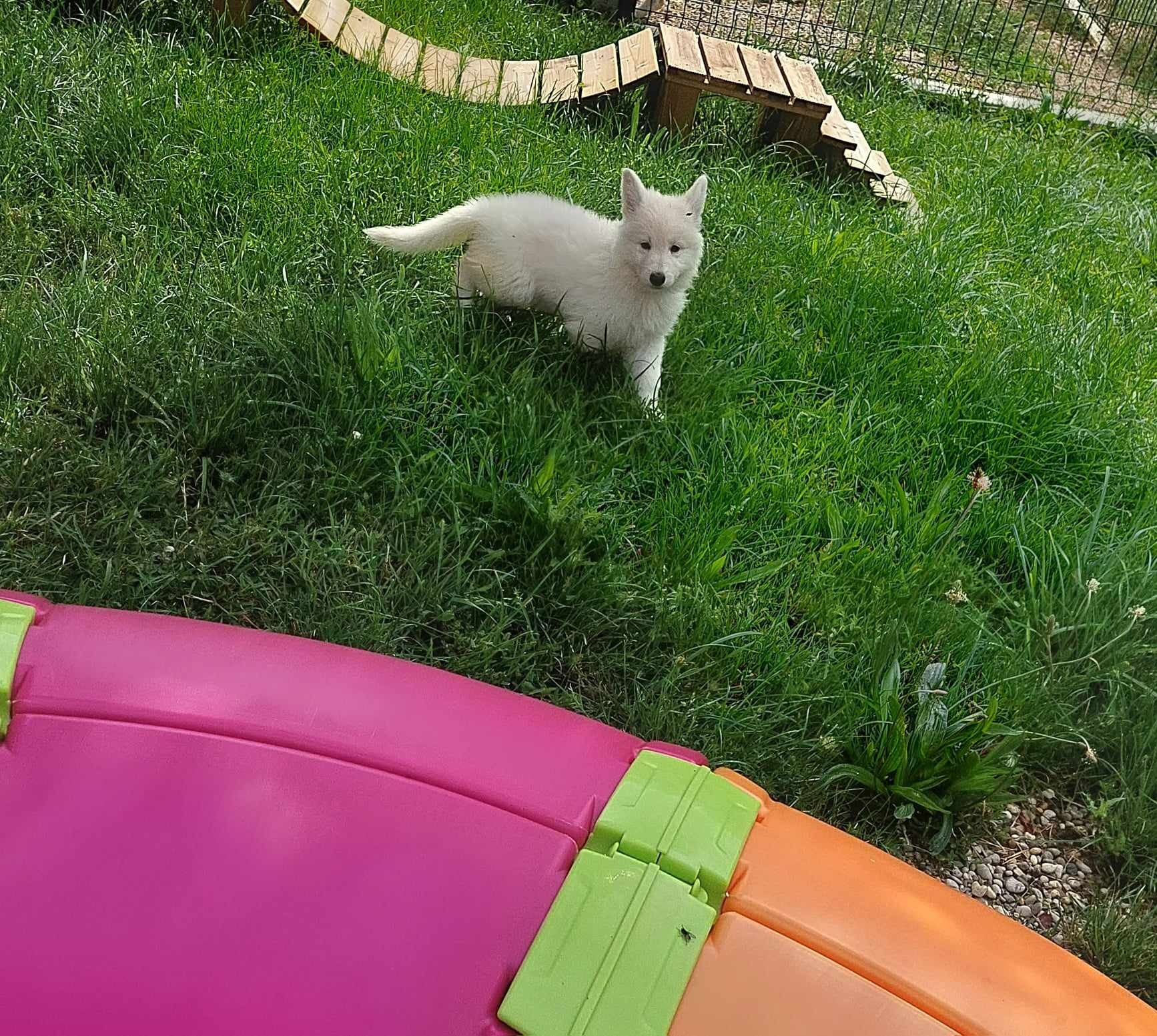 coucou toi