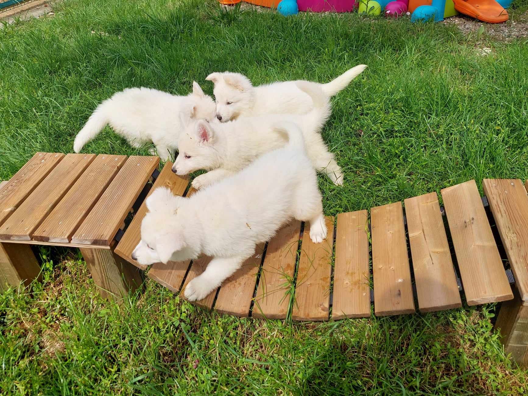 nouveau jeu pour les bébés !