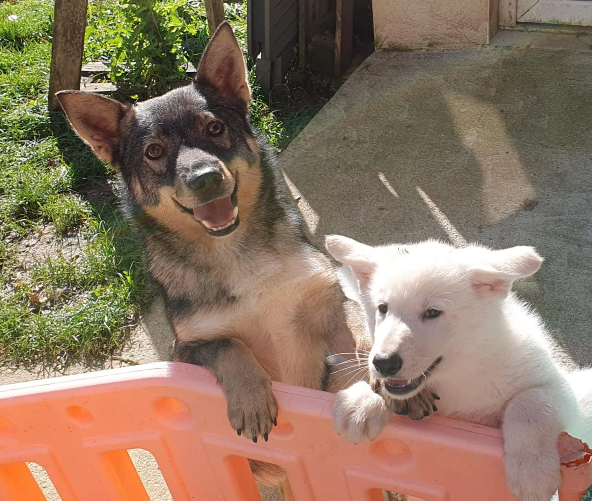 on est pas beau la ??