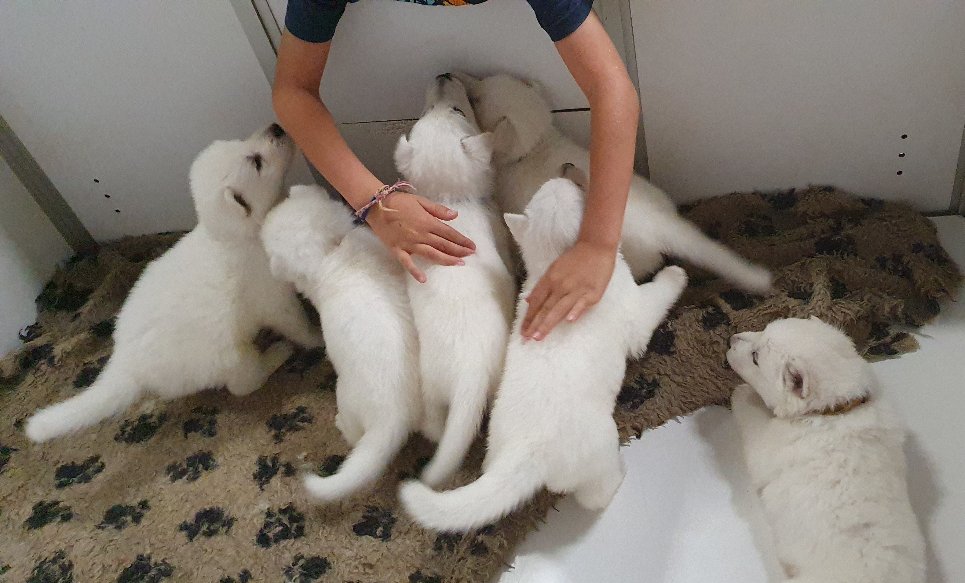 de petites mains pour faire des calins 