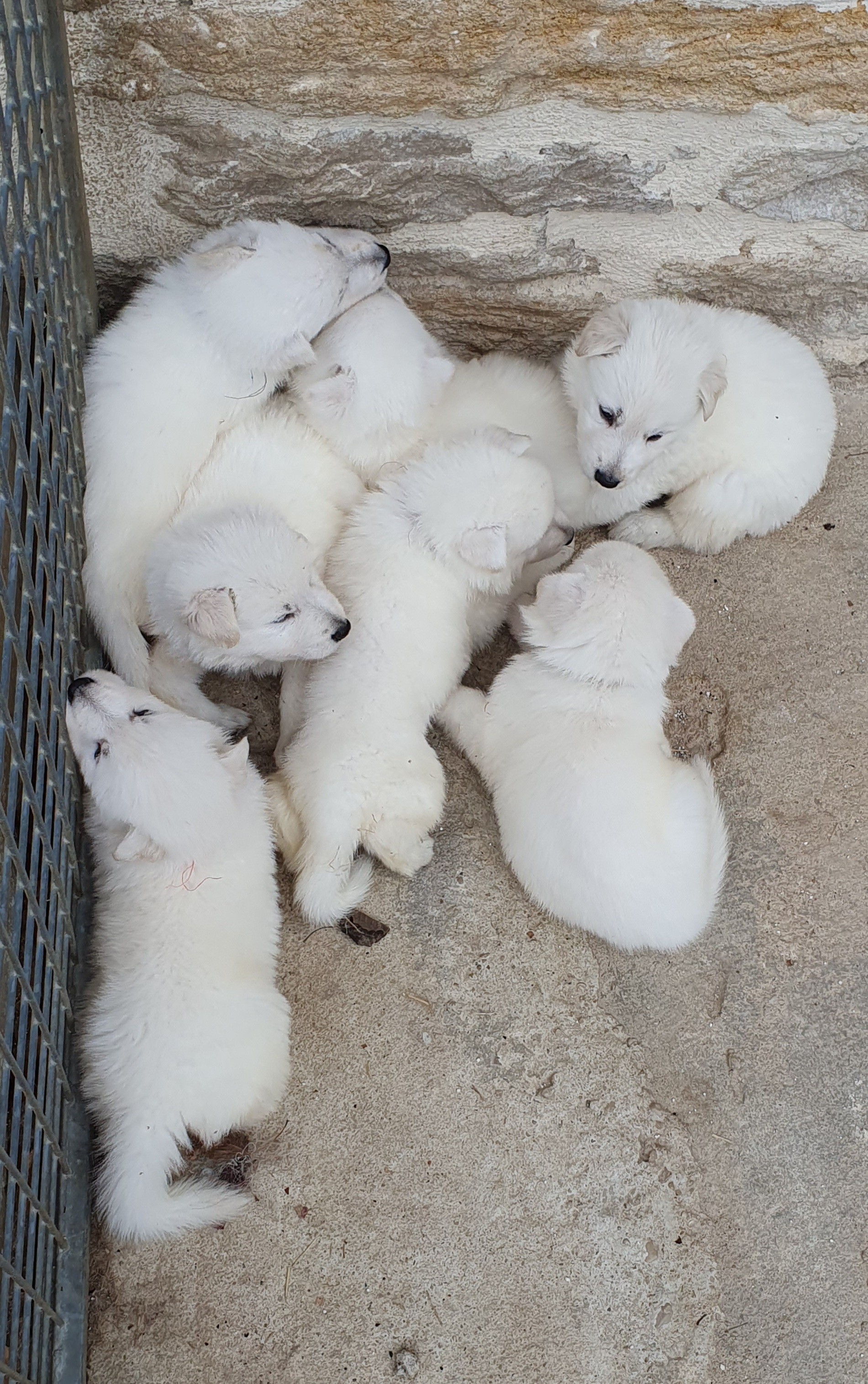 une petite sieste au grand air 