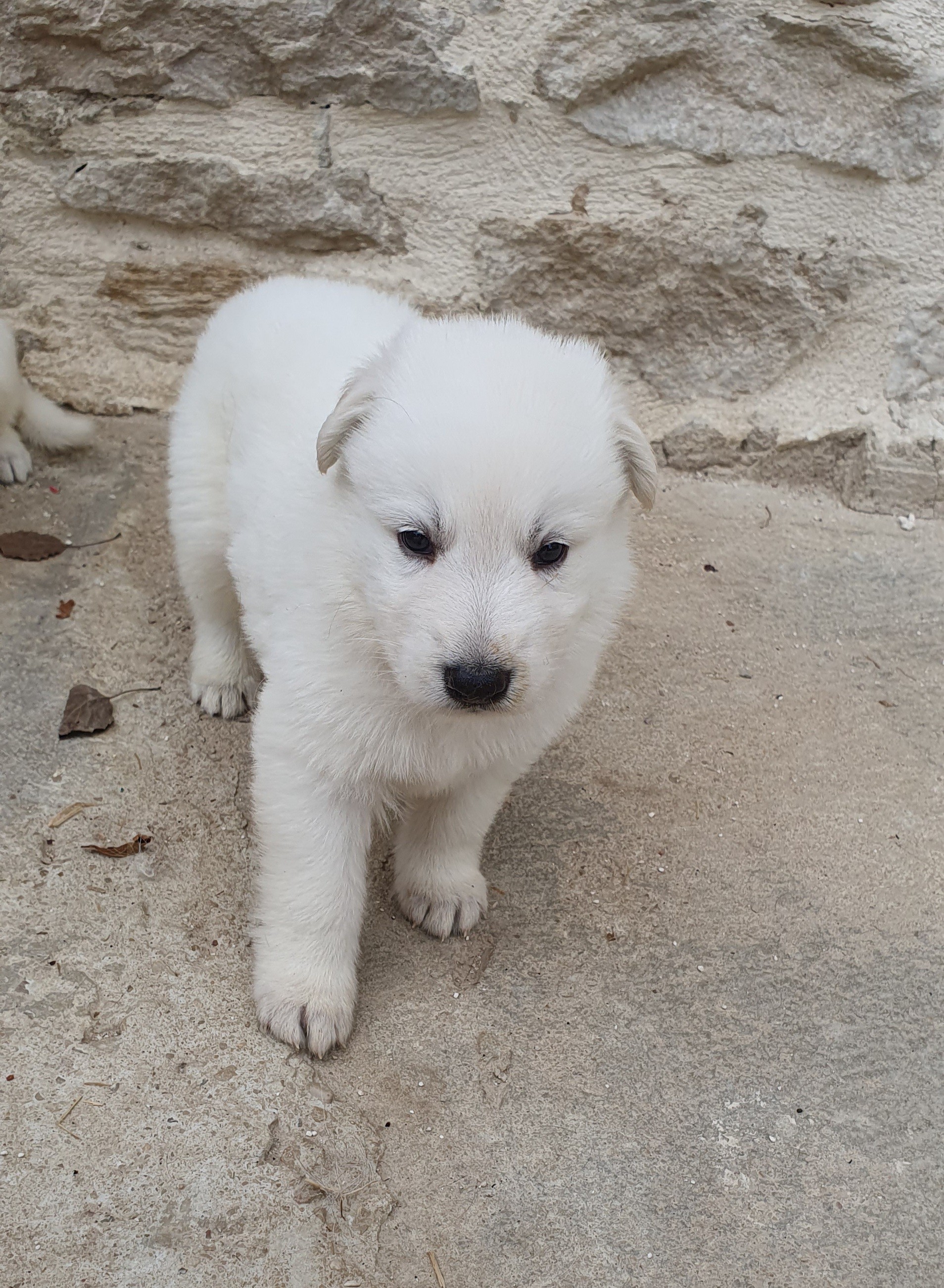 coucou toi 