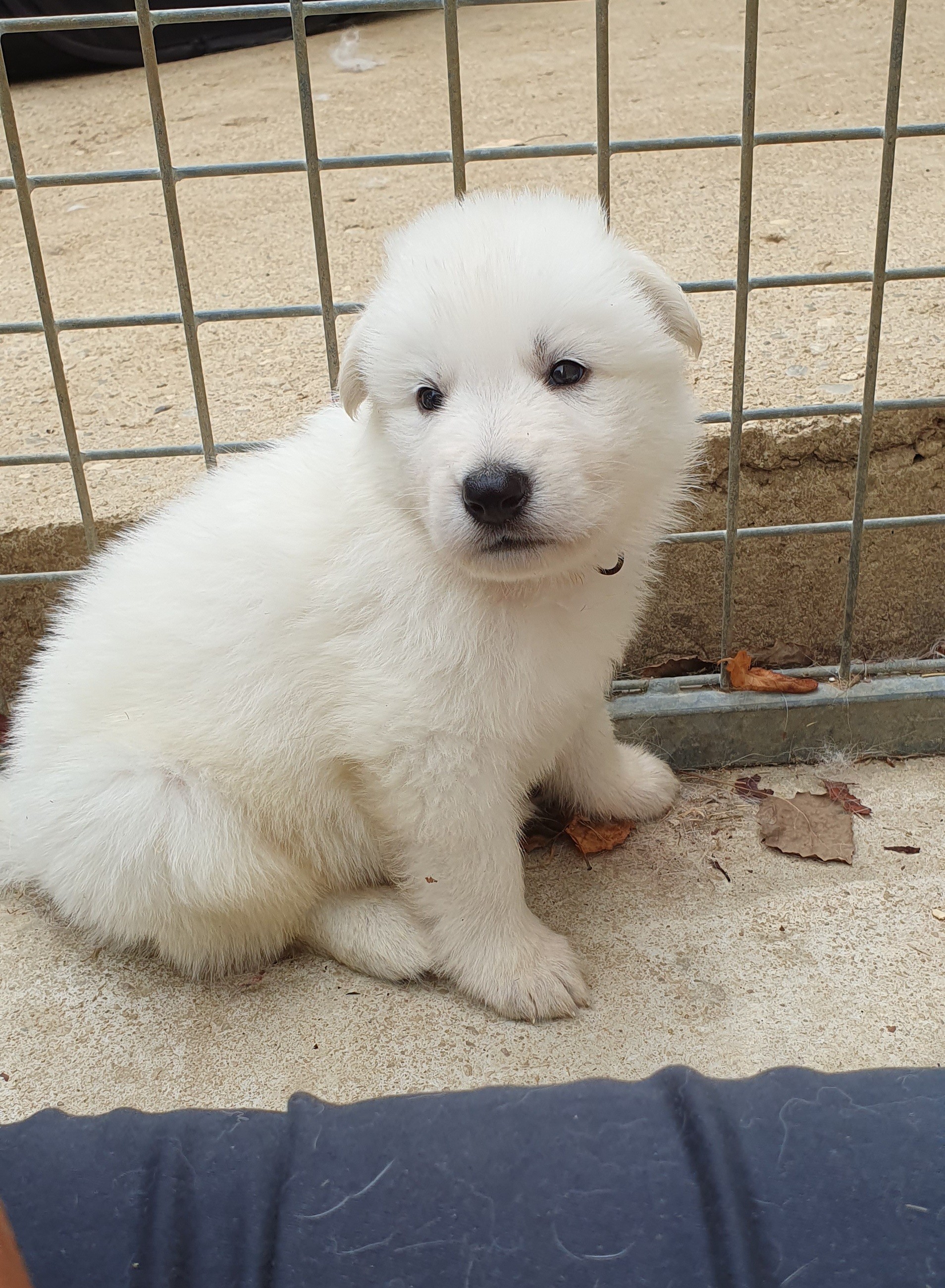 petite bouille