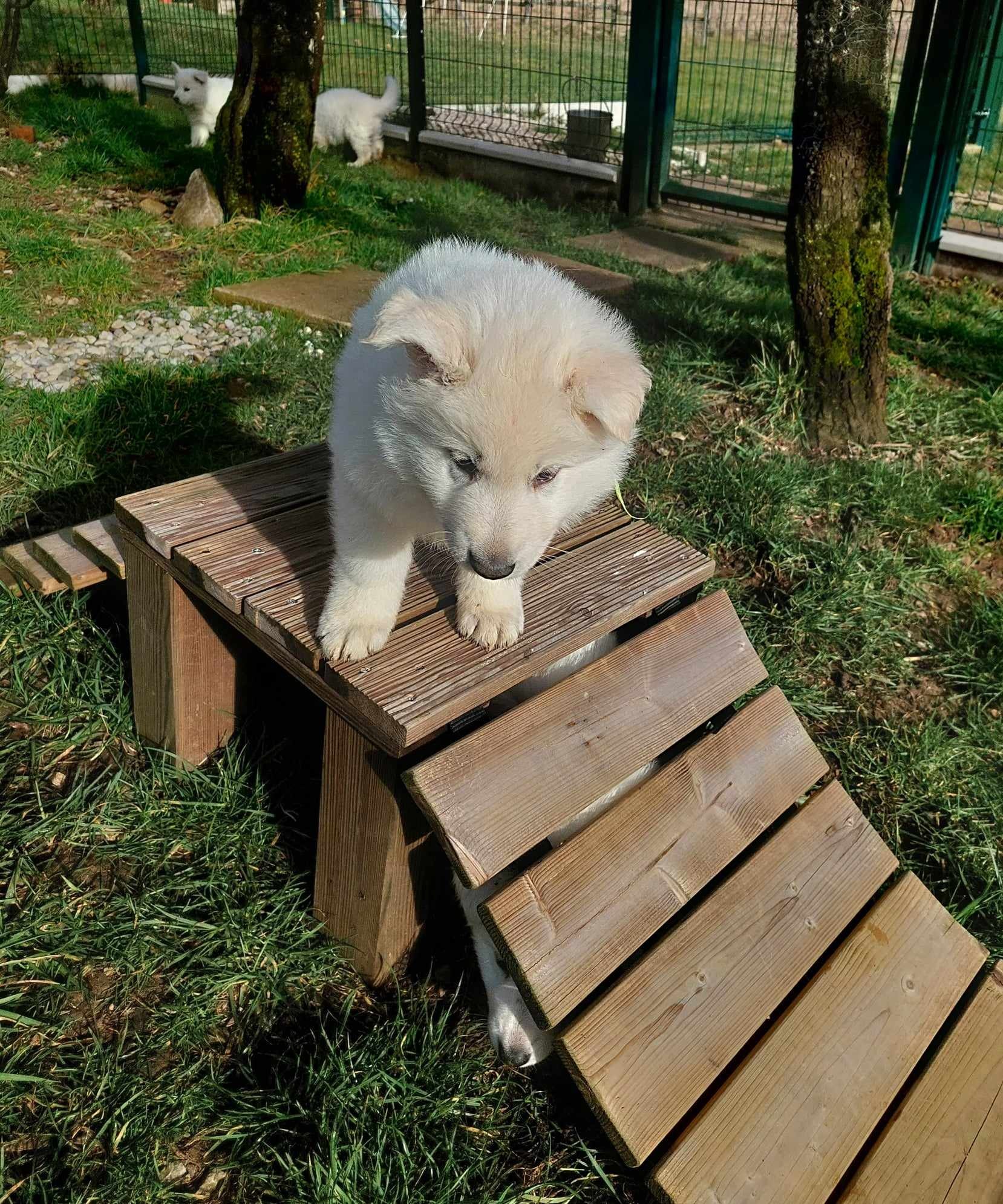 il faut que j'aille ou maintenant ?