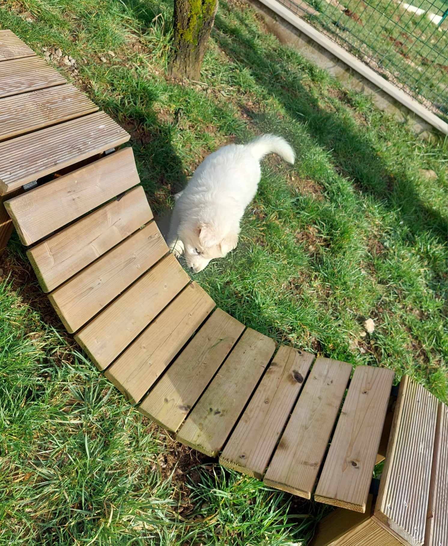 attention je vais traverser 