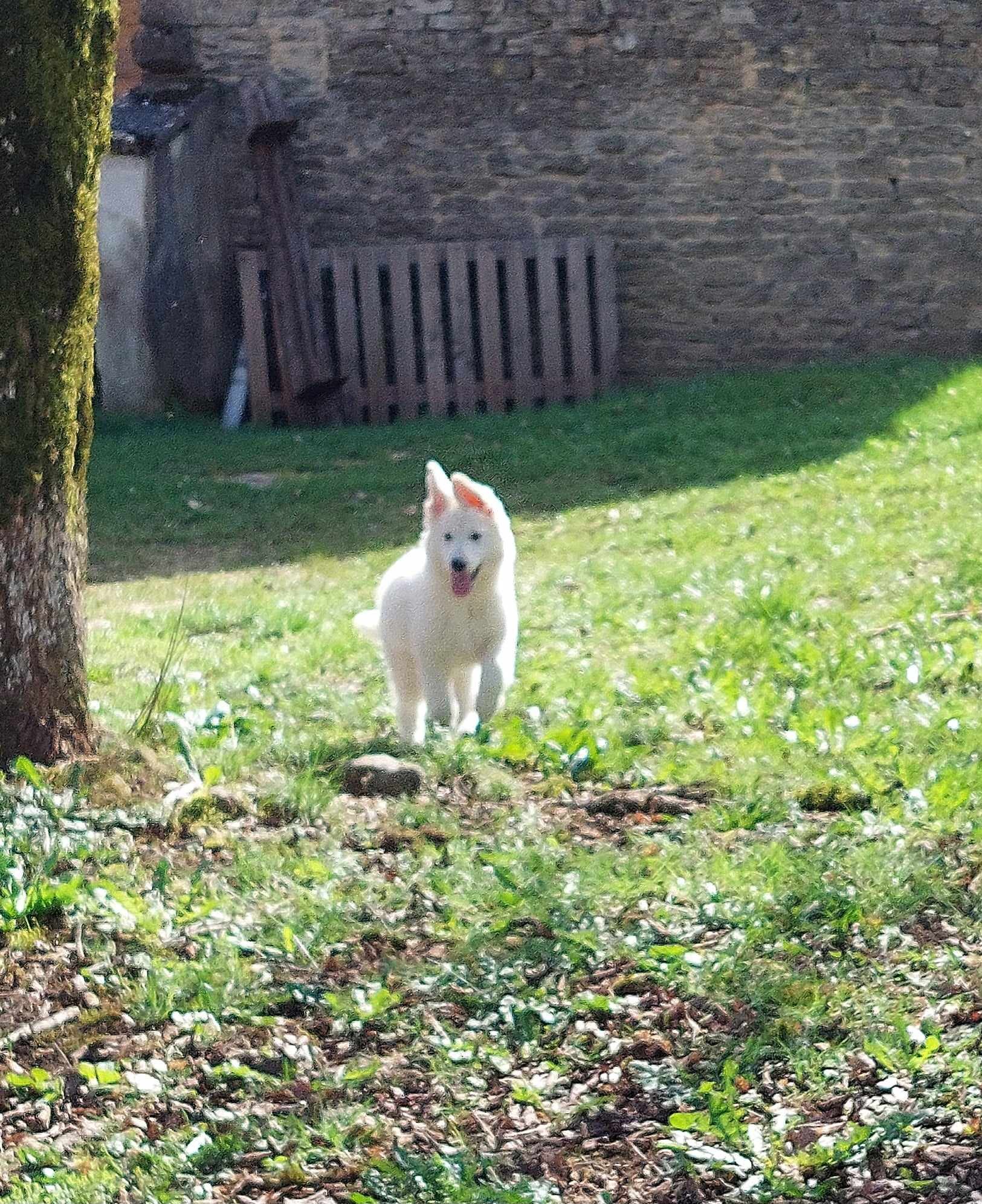 tout fière