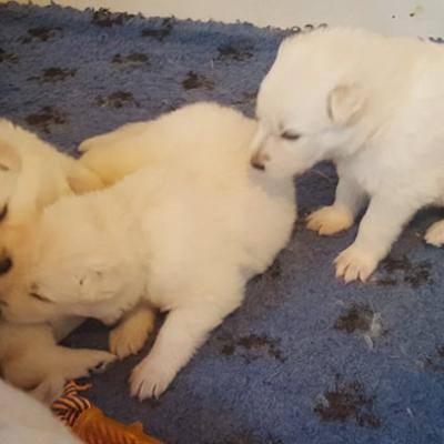 2 semaines et demi découverte des nouveaux joujoux