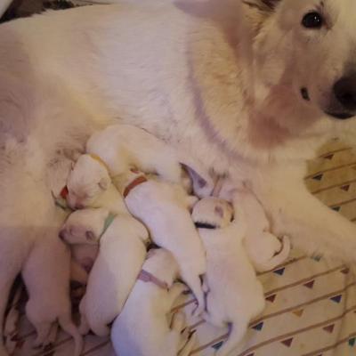 5 jours avec maman