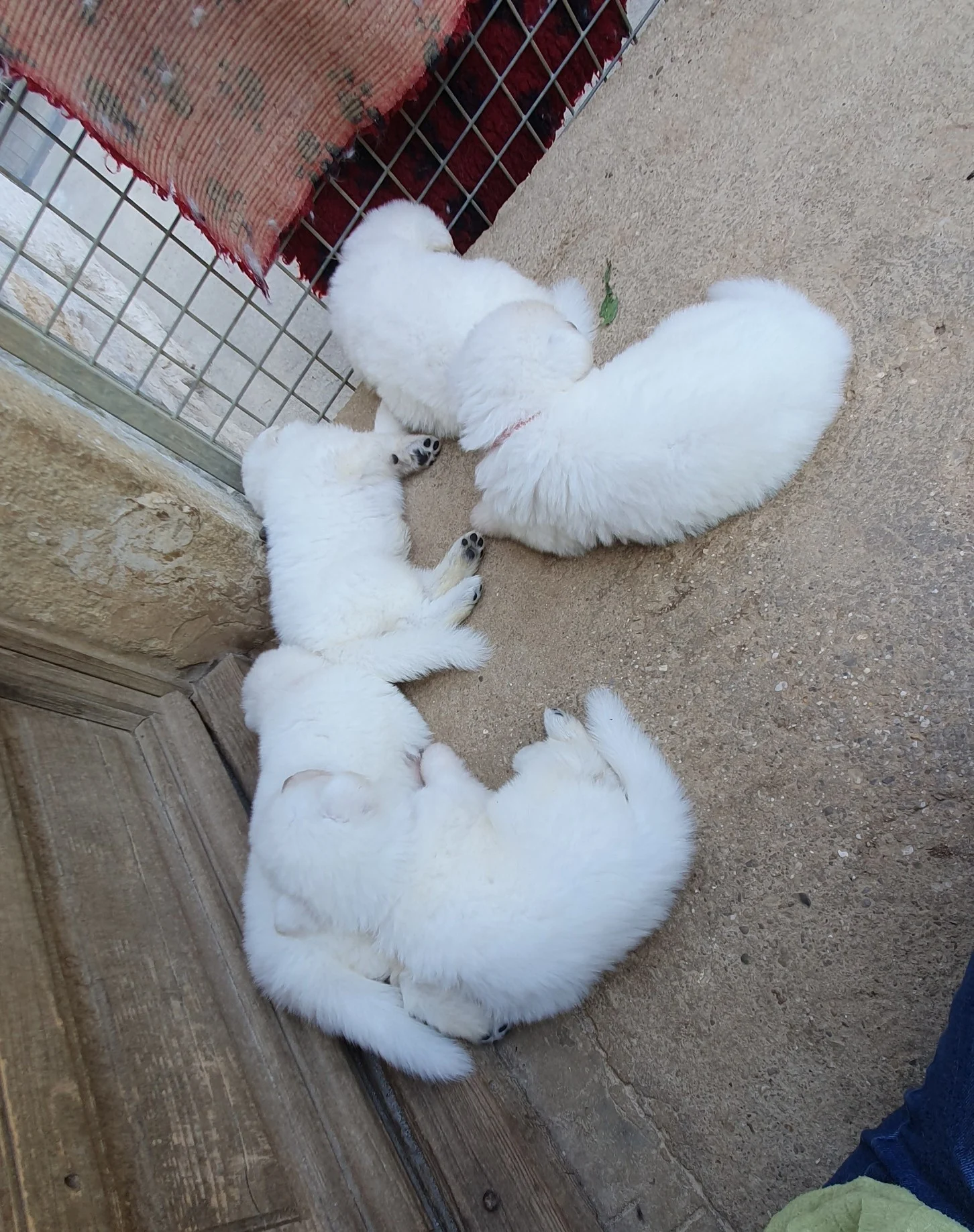 petite sieste 