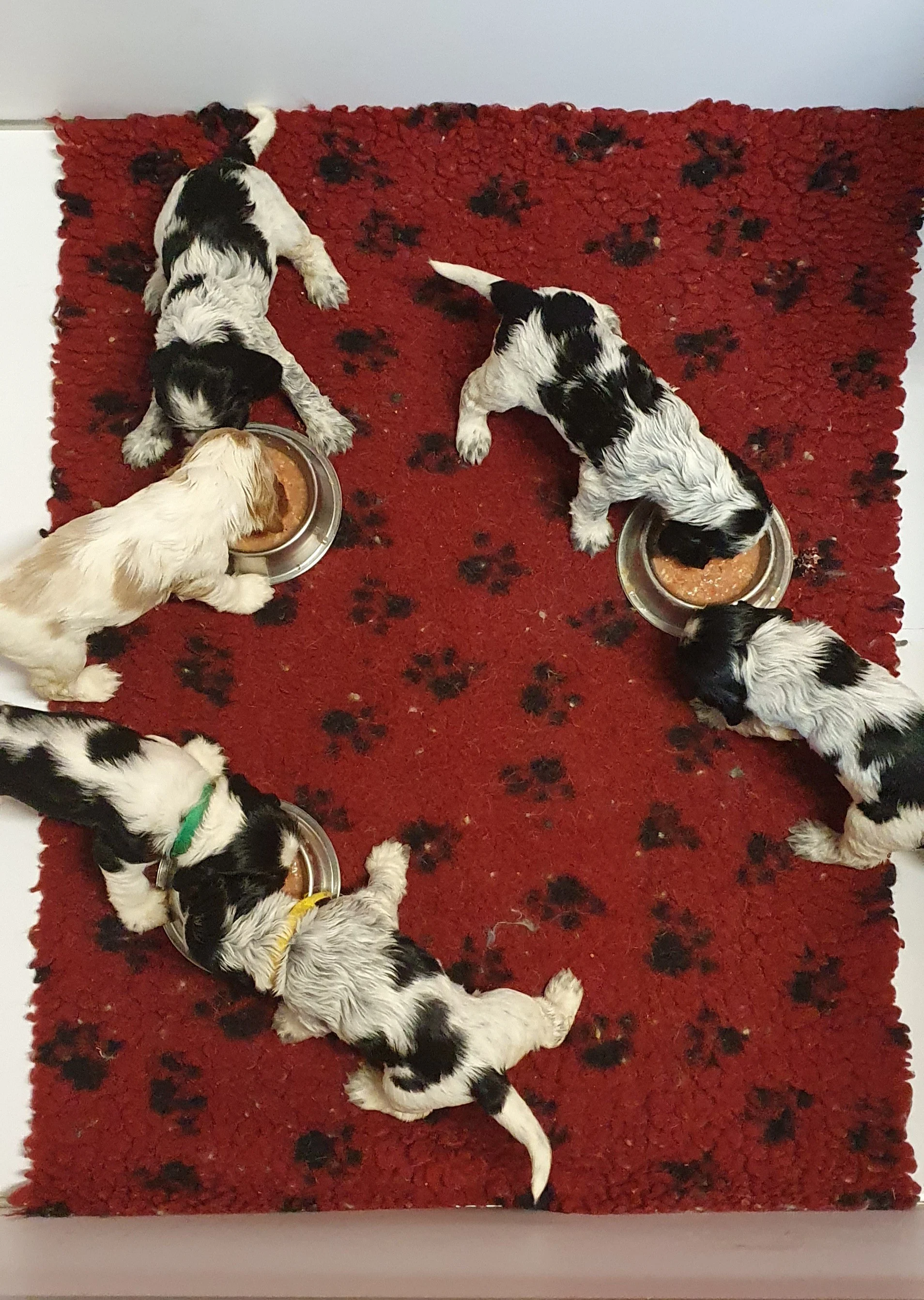 on a bon appétit !